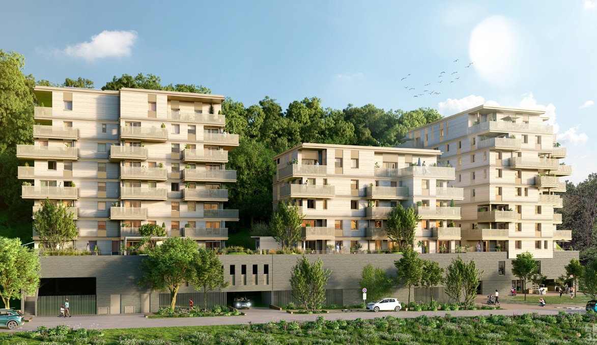 Terres de Laya eco-district perspective